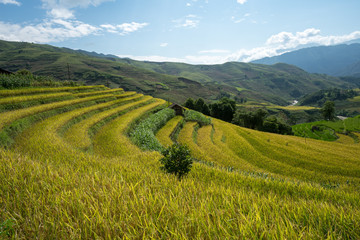 Terraced rice field landscape of Y Ty, Bat Xat district, Lao Cai, north Vietnam