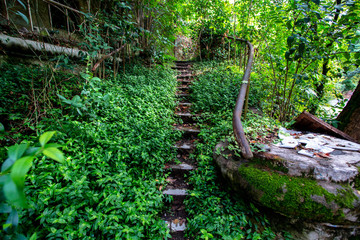 abandoned stairs to the house