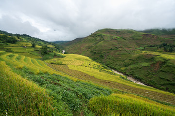 Terraced rice field landscape in harvesting season in Y Ty, Bat Xat district, Lao Cai, north Vietnam