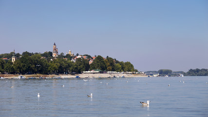 Zemun,Serbia,view from the river Danube,with seagulls in the front