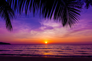 Palm trees silhouette at sunset. sunset and beach. Beautiful sunset above the sea - obrazy, fototapety, plakaty