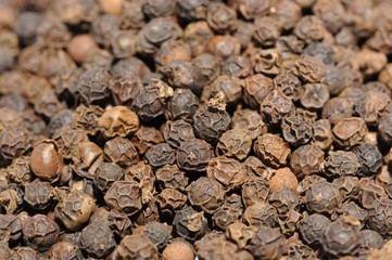 Black Pepper Macro