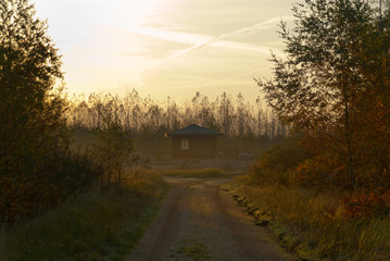 Path to a hut in autumny forest and fog, Sophienh&ouml;he, Germany