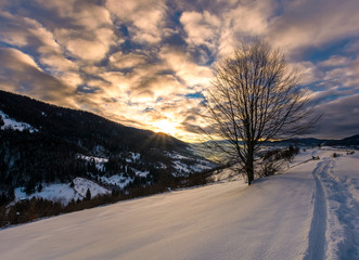 footpath through snowy rural hillside. gorgeous sunrise in mountainous winter countryside