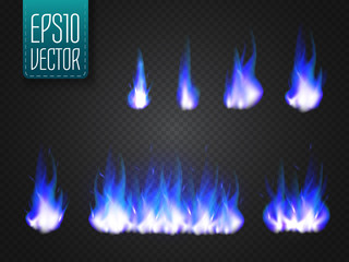 Vector cold fire flames isolated on transparent background.