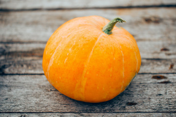 Autumn orange small pumpkin on wooden table