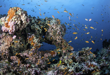 Fototapeta na wymiar Tropical seascape, South Male Atoll, Maldives.