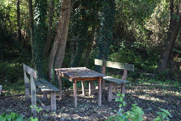 Picnic Camping Space In The Forest