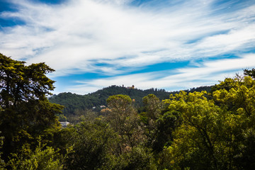 Fototapeta na wymiar Forest of Monserrate Park and Pena Palace in the background (Sintra, Portugal)