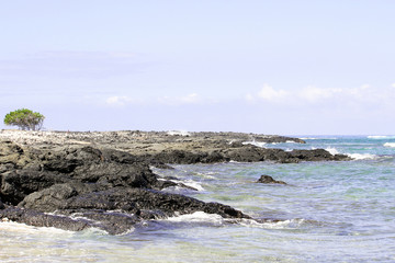 Fototapeta na wymiar rocky hawaii coastline
