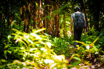 Man traveler traveling walking with backpack at the jungle on holiday at weekend on background nature view