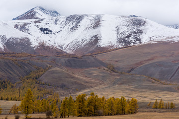 Mountain autumn landscape with colorful forest
