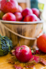Apples and pumpkins with autumn decorations on the wooden terrace. 