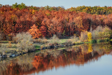 Obraz premium Closeup of Fall autumn landscape view on the multi colored autumn forest reflecting in the water