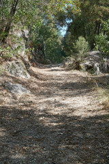 Pilgrim trail, Camino de Santiago, Portugal