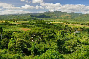 Fototapeta na wymiar De los Ingenios valley near Trinidad city in Cuba