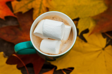 Coffee Cup of cappuccino and Marshmallows autumn leaves on background old dark wood planks.