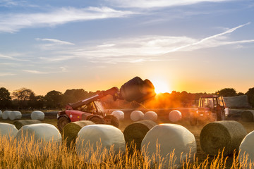 Im Sonnenuntergang lädt ein Traktor Ballen vom Anhänger aufs Feld um, closeup © levelupart