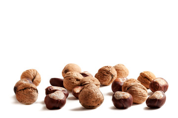 Walnuts and chestnuts isolated on white background