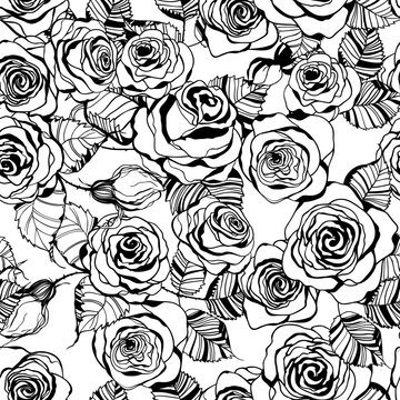 Hand drawn roses pattern