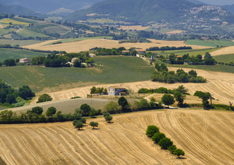 Fototapeta na wymiar Summer landscape in Marches (Italy) near Ostra