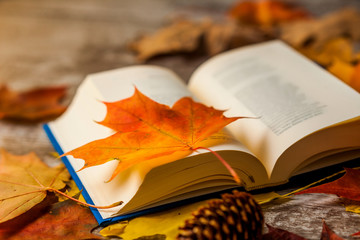 Open book with autumn leaves on it. Yellow orange red. Background.