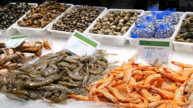 Seafood crabs lobster squid shrimps crayfish oyster mussels seashells in fish market La Boqueria Spain, Barcelona