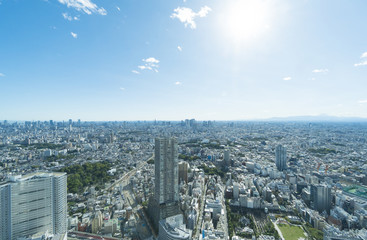 Naklejka premium Fudżi i cały widok na Tokio