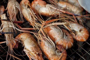 Grilled Shrimp Activity for celebration.