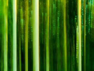 Forest - abstract impressionist blurry background, created using panning technique