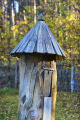 Ancient hive in the autumn forest