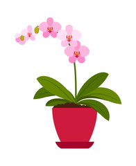Naklejka na ściany i meble Orchid pink house plant