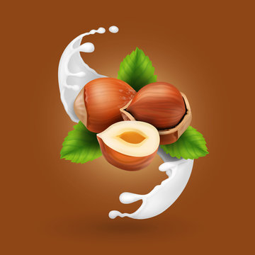 Hazelnuts in milk splash. Realistic nut in yogurt vector icon