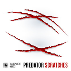 Fototapeta na wymiar Predator Scratches