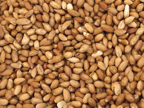 Background of roasted sweet peanut, closeup.