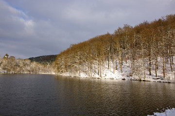 Winter landscape of frozen trees .