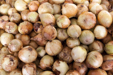 Onions closeup on the village market . Greece.