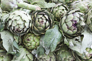 Fototapeta premium Large fruit of the artichoke. Fresh artichoke at the village market.