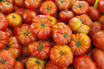 Village market organic tomatoes. Qualitative background from tomatoes. Fresh tomatoes. Red tomatoes.