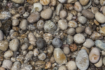 Large wet sea pebbles. Stone background for tiles, facades of houses.