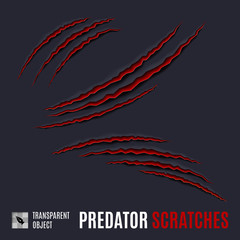 Predator Scratches