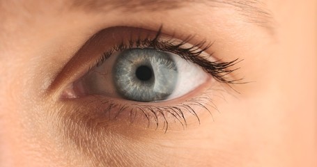 Obraz premium closeup of woman's eye. blue eye