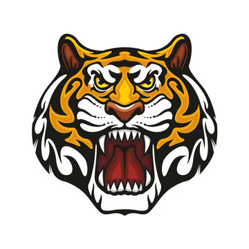 Tiger animal muzzle vector sport team mascot icon