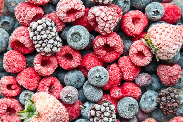 Frosted or frozen berries background. Frozen berries.