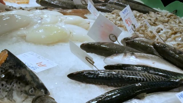 Counter with fresh different fish mussels shrimps crustaceans on ice the fish market of La Boqueria