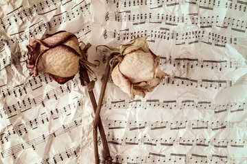 Dry roses on music sheets background