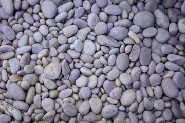 texture of white gravel on floor use as natural background