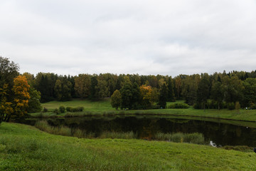 the beautiful landscape is in an autumn park