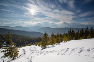 Beautiful landscape of winter Carpathian mountains