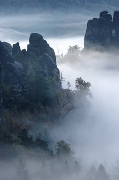 Fog in the rocks